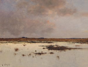 Evening Atmosphere Over A River Landscape — Bela Spanyi