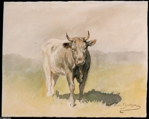 Ox — Rosa Bonheur