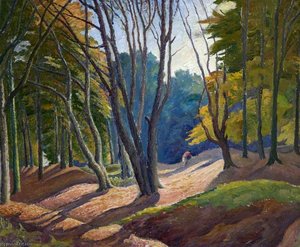 Sun through the Wood