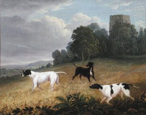 Pointers In A Landscape
