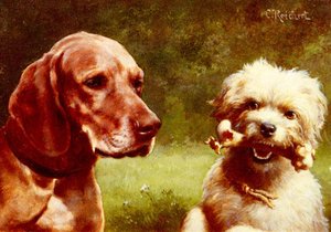 The Cynic and the Philosopher