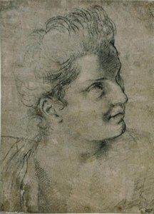 Face A Woman Turned Towards The Right — Annibale Carracci