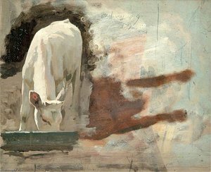 Calf Drinking From A Trough — Gunning King