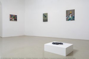 Cristiano Tassinari, C is for Cherry, Francesca Antonini Gallery, Rome, Italy