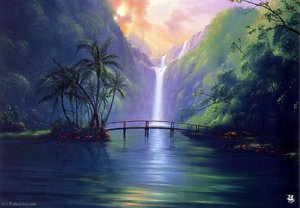 Reflections — Jim Warren