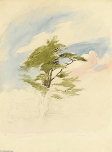 Study Of A Cedar Tree — Sir William Blake Richmond