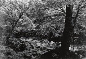 The Muro River (summer) — Ken Domon