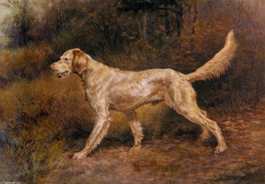 Commissioner A Champion English Setter — Edmund Henry Osthaus