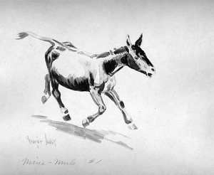 Mine-mule — George Benjamin Luks