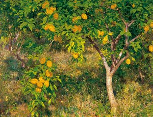 The Lemon Tree