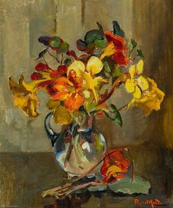 Nasturtiums — Rose Mead