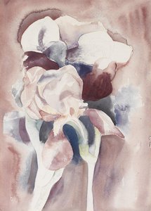Irises — Charles Demuth