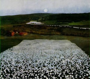 Flower Meadow in the North