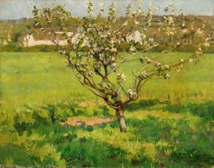 Apple Blossom — Domenico D. J Barnett