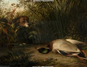 A Pointer And A Dead Wild Duck — Arthur James Stark