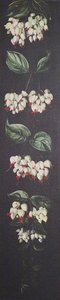 White And Red Flowering Plant On A Black Background — Marianne North, Contemporary Realism