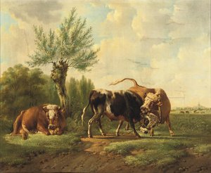 Fighting Bulls — Albertus Verhoesen