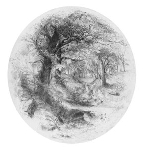 Interior Of Woods With Small Stream — William Trost Richards