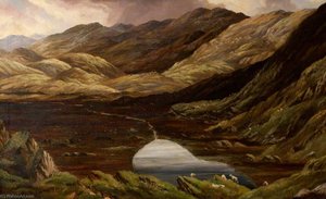 Llyn Llygad Rheidol