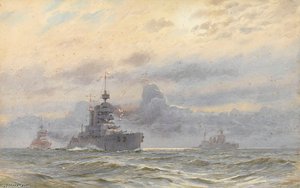 Hms 'princess Royal' And New Zealand