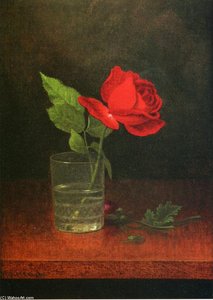 A Single Rose In A Glass — Martin Johnson Heade