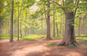 The Forest — Johan Krouthén