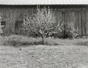 Mr. Bristol's Barn 4