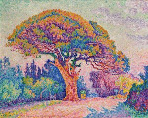 The Pine Tree at St. Tropez