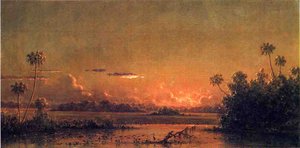 Florida Sunset With Waterfowl — Martin Johnson Heade