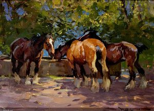 Horses At Water Trough