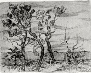Pine Trees In Front Of The Wall Of The Asylum — Vincent Willem Van Gogh, Post-impressionism