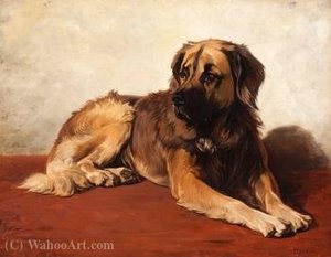 The faithful Leonberger