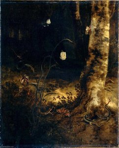 Forest floor still life with butterflies and reptiles