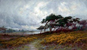 Golden Gorse and Windblown Trees