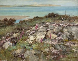 Foxgloves And Sea Pinks — William Stewart Macgeorge
