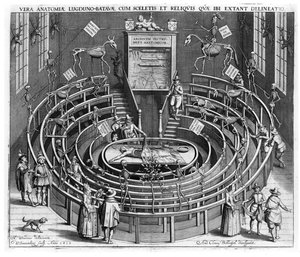 Anatomical theatre Leiden