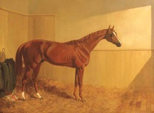 Mr. J. Dawson's Grimston, A Chesnut Racehorse In A Stable — Džon Frederik Hering Stariji