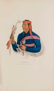 A Miami Chief, from The Aboriginal Portfolio
