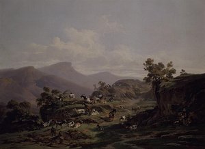 Pâturage de chèvres