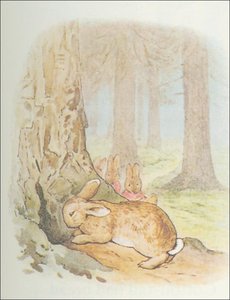 Peter Rabbit 29a - (11x13) — Beatrix Potter