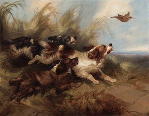 Spaniels Putting Up — George Armfield (smith)
