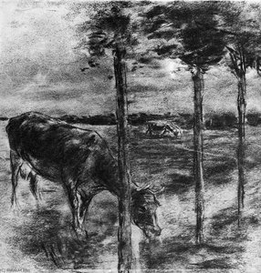Drinking Cow