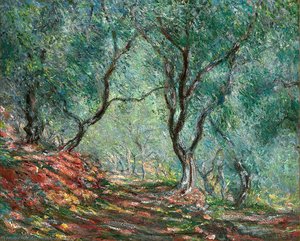 Olive Tree Wood In The Moreno Garden — Claude Monet, Impressionism