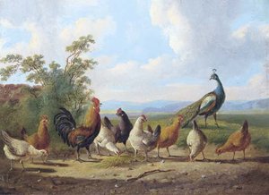Cheerful Chickens — Albertus Verhoesen