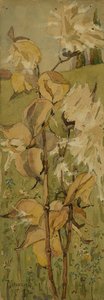 Study Of Milkweed — Franklin Carmichael