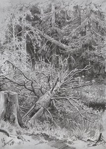 In The Forest. Fallen Tree — Ivan Ivanovich Shishkin