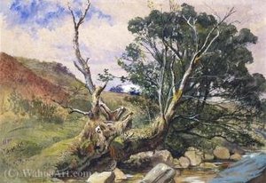 A wooded stream, Isle of Arran, Scotland