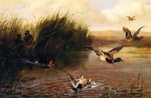 Duck Shooting — Arthur Fitzwilliam Tait