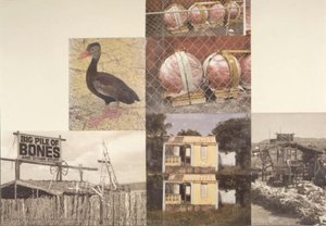 Big Pile Of Bones (scenario) — Robert Rauschenberg