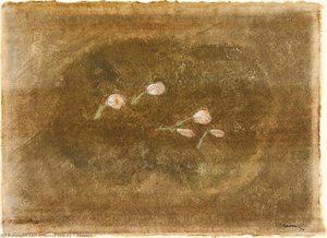 Flowers — Morris Graves